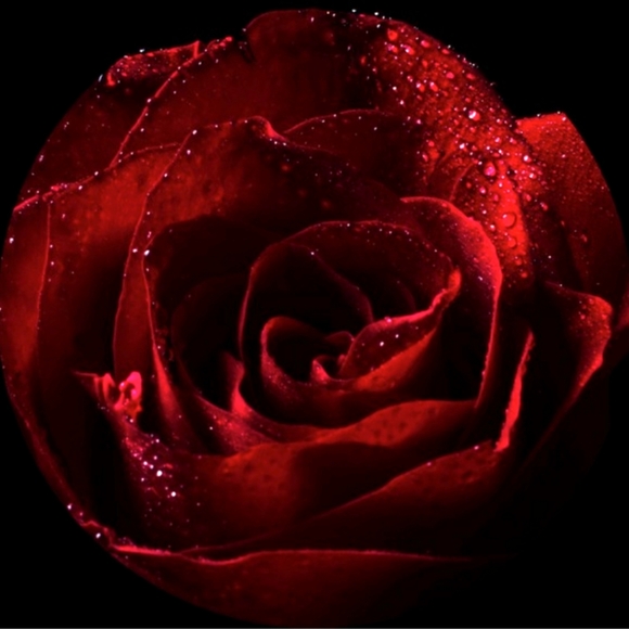 Meet your Posher, Boss_Babe_Btq! - Picture 2 of 7